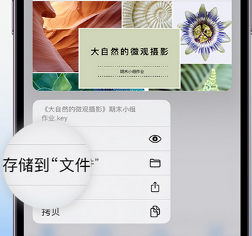 阿图什apple维修中心分享iPhone文件应用中存储和找到下载文件