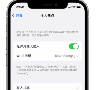 阿图什apple服务站点分享iPhone上个人热点丢失了怎么办 