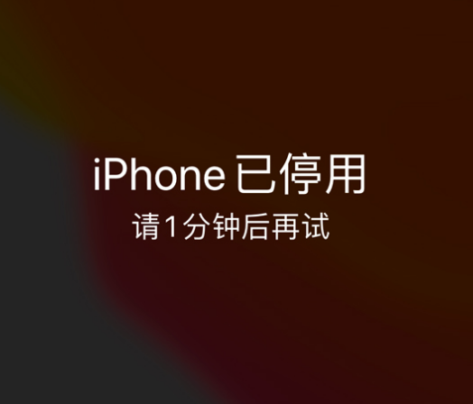 阿图什苹果手机维修分享:iPhone 显示“不可用”或“已停用”怎么办？还能保留数据吗？ 