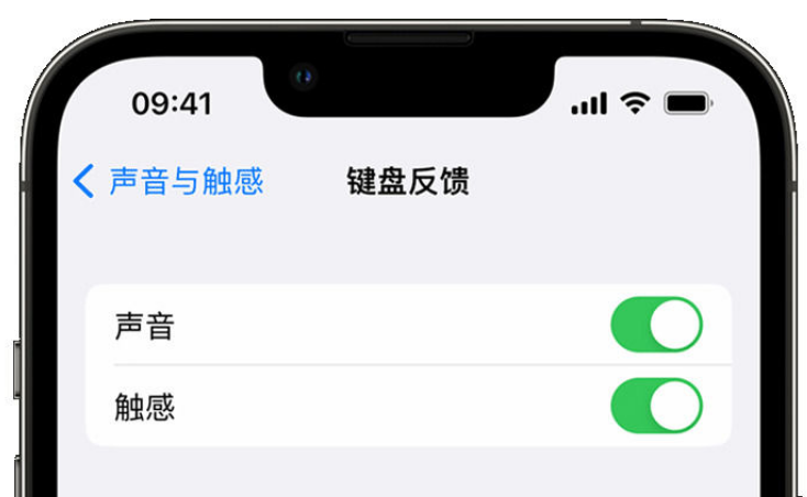 阿图什苹果手机维修分享iPhone 14触感键盘使用方法 