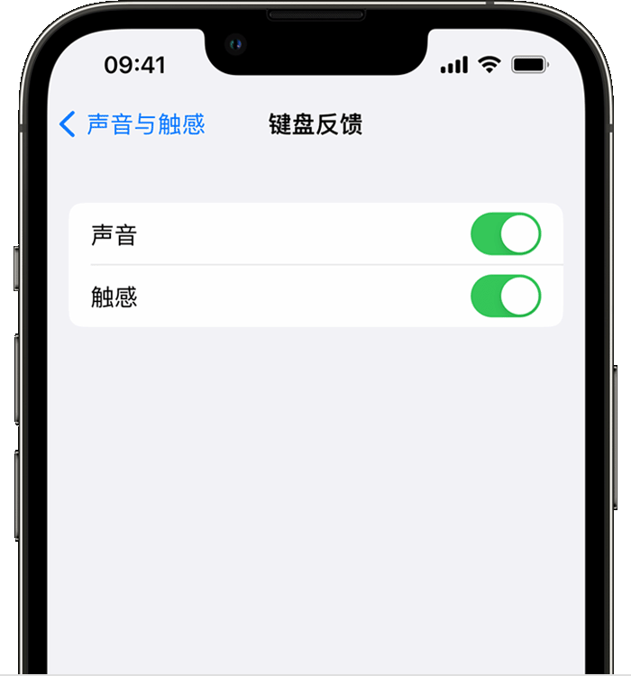 阿图什苹果14维修店分享如何在 iPhone 14 机型中使用触感键盘 