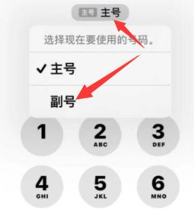 阿图什苹果14维修店分享iPhone 14 Pro Max使用副卡打电话的方法 