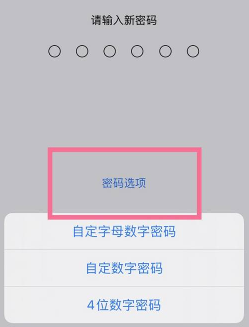 阿图什苹果14维修分享iPhone 14plus设置密码的方法 