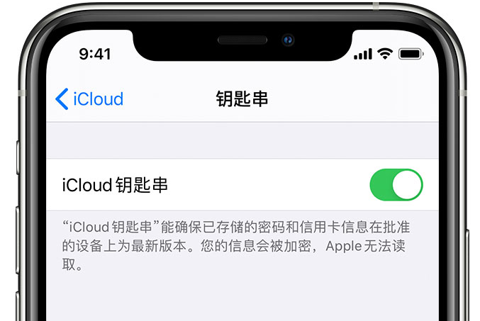 阿图什苹果手机维修分享在 iPhone 上开启 iCloud 钥匙串之后会储存哪些信息 