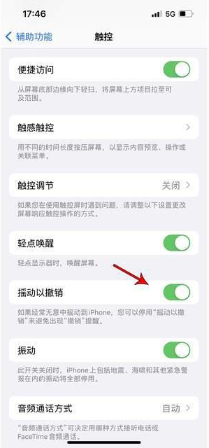 阿图什苹果手机维修分享iPhone手机如何设置摇一摇删除文字 